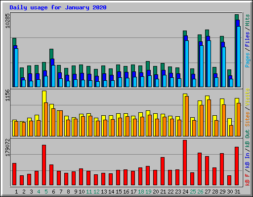 Daily usage for January 2020