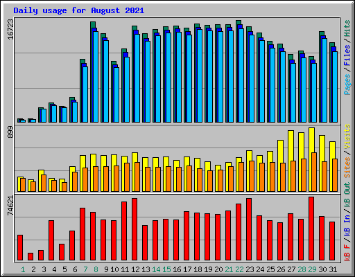 Daily usage for August 2021