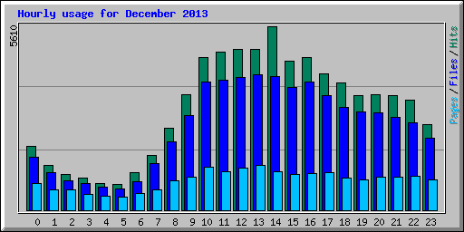 Hourly usage for December 2013