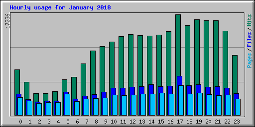 Hourly usage for January 2018
