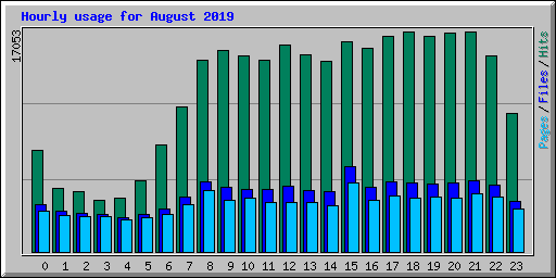 Hourly usage for August 2019