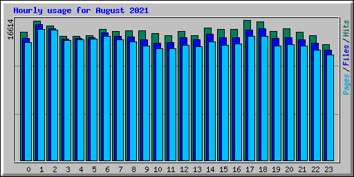 Hourly usage for August 2021