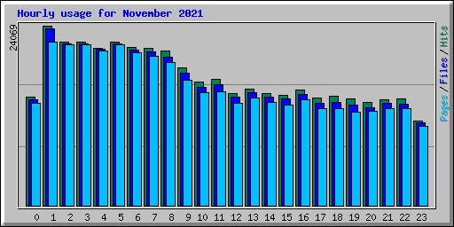 Hourly usage for November 2021