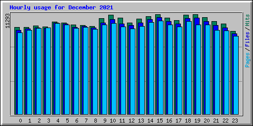 Hourly usage for December 2021