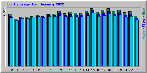 Hourly usage for January 2022